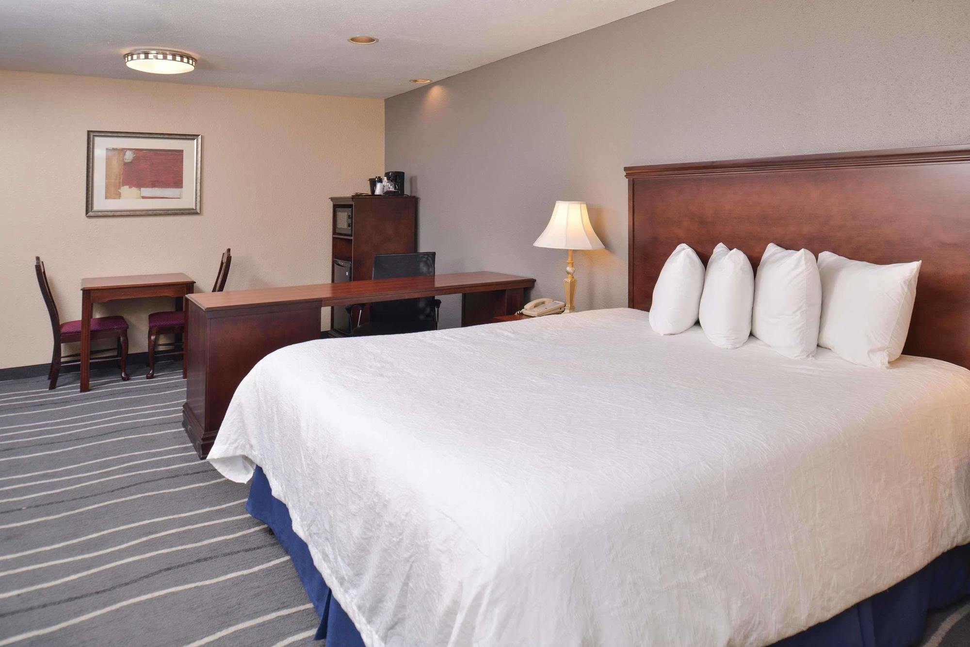 Irving Inn & Suites At Dfw Airport Экстерьер фото